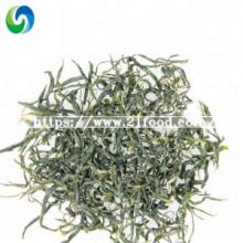 Strong Taste China Product Chinese Traditional Maofeng Green Tea
