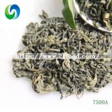 7500 China Supplier Best Organic Green Tea