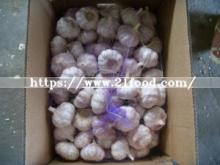 5kg 8kg 10kg 20 Kg Mesh Bags Packaging Normal White Garlic Wholesale