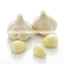 100% Pure Fresh White Garlic/Natural Garlic/Fresh Peeled Garlic Bulk