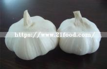 2018 Chinese Wholesale Garlic Price - New Crop