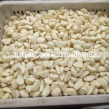 Garlic Wholesale Price Per Ton Normal/ Pure/ Peeled White Garlic