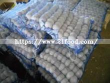 Garlic Wholesale Price Per Ton Normal/Pure/Peeled White Garlic