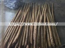 Heigh Quality Fresh Burdock