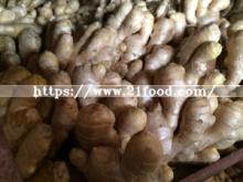Dry Ginger (EU quality)