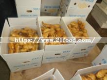 China Shandong Origin Fresh Ginger