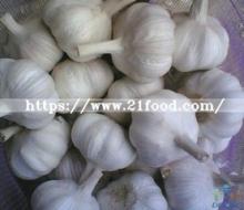 2018 Chinese Wholesale Garlic Price - New Crop, Hot Sales