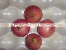China New Crop Fresh Red Onion