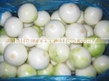 Fresh White Peeled Onion with Vacuum Pack