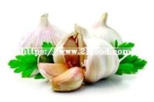 Fresh Pure White Garlic