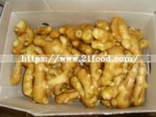 Fresh Ginger