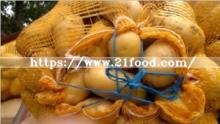 Fresh Potato (100g)
