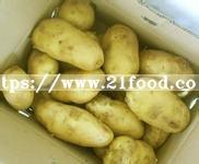 Export New Crop Fresh Potato