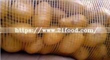 New Crop Fresh Potato for Bangladesh Market