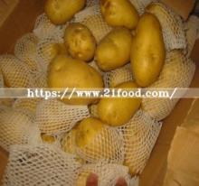 New Crop Fresh Holland Sweet Frozen Potato From China