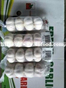 2017 Fresh Normal White Garlic