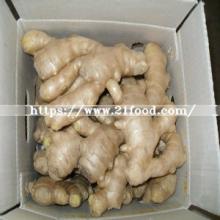 Chinese Origin Air Dry Ginger