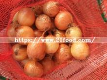 China New Crop Fresh Yellow Onion