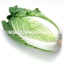 New Crop Fresh Vegetable- Chinese Cabbage