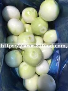 New Crop Fresh Garlic/Onions