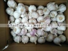 2017 Crop Garlic Alho Fresco
