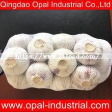 China Factory Single Clove Garlic Price