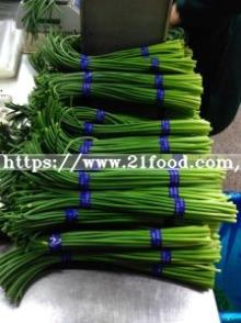 High Quality Chinese Fresh Garlic Sprout Garlic Stem Garlic Shoot Garlic Bolt