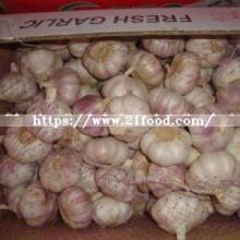 5kg Mesh Bag Carton Normal White Red Fresh Garlic