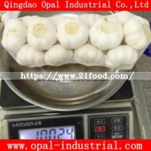 10kg 20kg Mesh Bag Packing New Garlic with Fresh Normal Pure White Garlic From China