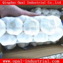 Fresh  Normal / Pure   White   Garlic 