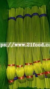 Best Factory Supplier of Chinese Fresh Sprout Stem Shoot Garlic Bolt