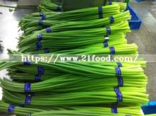 Best Price of 10kg Carton Chinese Garlic Bolt Shoot Stem Sprout Garlic Bolt