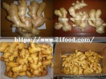 Air Dry Ginger with Good Quality