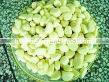 2019 Crop Salted Fresh Garlic Segment/Clove in Shandong Jining