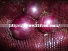 2019  New   Crop   Red  Onion Own Store