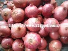 Fresh  New   Crop   Red  Onion