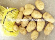 High Quality Fresh Potato