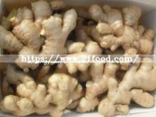  Export  Standard Chinese  Dried   Ginger 