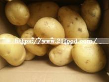  Fresh   New   Crop   Potato  in Carton