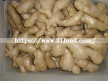  Chinese   Fresh   Ginger  and Garlic Supplier