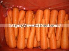 New Crop Fresh Carrot (White/Green Radish)
