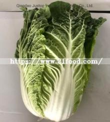  Fresh   Chinese   Cabbage  (2019)