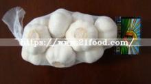 Frozen Peeled Pure White Garlic