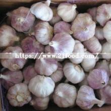 Good Quality Chinese Red/Normal White/Pure White Wholesale Fresh Garlic