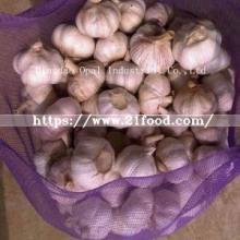 Mixed Size 2018 New Crop Fresh Pure Normal White Garlic Vegetable