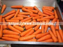 Wholsale Chinese New Crop Red Fresh Carrot