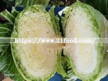 Export Standard High Quality Chinese Carton Fresh Long Green White Cabbage