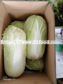 Factory of Chinese Vegetable Mesh Bag Carton Fresh Long Green White Cabbage