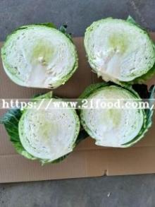 Best Price High Quality Chinese Mesh Bag Carton Fresh Long Green White Cabbage