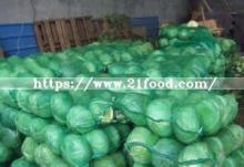 Best Price Chinese Mesh Bag Carton Fresh Long Green White Cabbage
